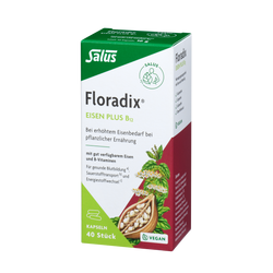 Salus Floradix Eisen plus B12