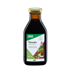 Salus Floradix Eisen plus B12
