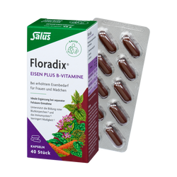 Salus Floradix Eisen plus B-Vitamine