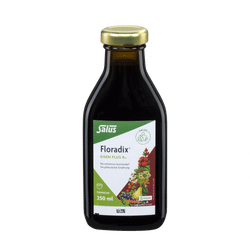 Salus Floradix Eisen plus B12