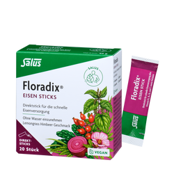 Salus Floradix Eisen Sticks