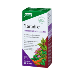 Salus Floradix Eisen plus B-Vitamine