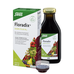 Salus Floradix Eisen plus B12