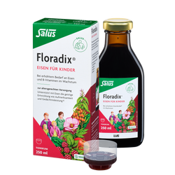 Salus Floradix Eisen für Kinder