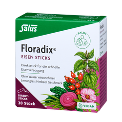 Salus Floradix Eisen Sticks