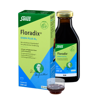 Salus Floradix Eisen plus B12