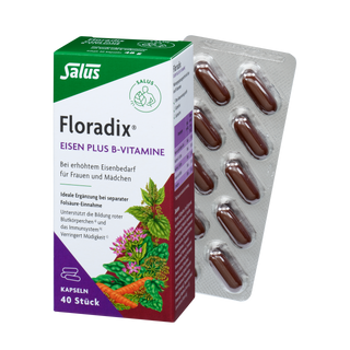 Salus Floradix Eisen plus B-Vitamine