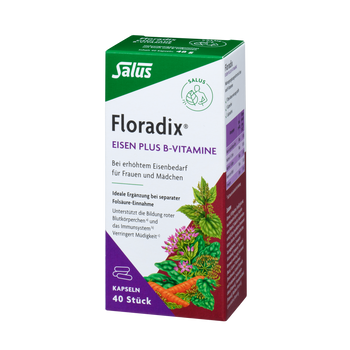 Salus Floradix Eisen plus B-Vitamine