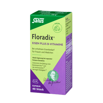 Salus Floradix Eisen plus B-Vitamine