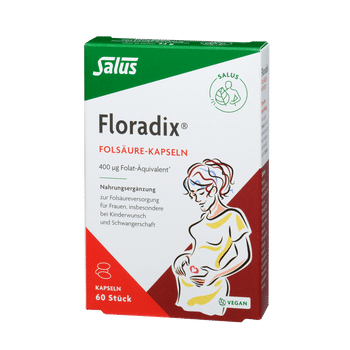 Salus Floradix Folsäure-Kapseln