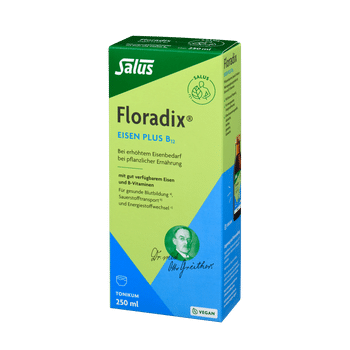 Salus Floradix Eisen plus B12