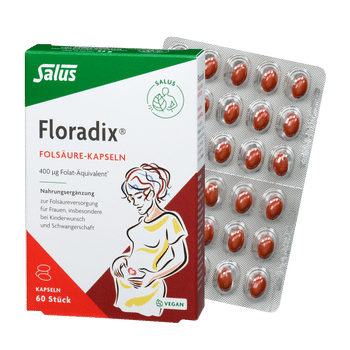 Salus Floradix Folsäure-Kapseln