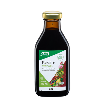 Salus Floradix Eisen plus B12