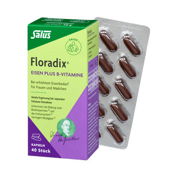 Salus Floradix Eisen plus B-Vitamine